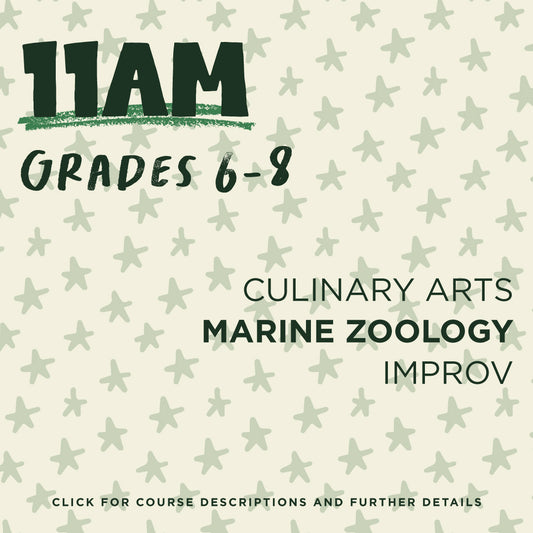 VEO | Fridays @ 11am (6th-8th Grade) (Spring Semester)